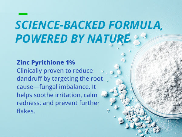 Tagrid Shampoo Science-Backed Formula - Zinc Pyrithione for Dandruff and Scalp Irritation Relief